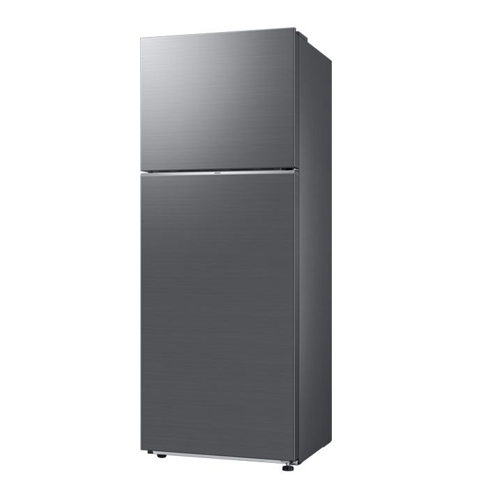 Samsung Two-Door Refrigerator RT42CG6621S9